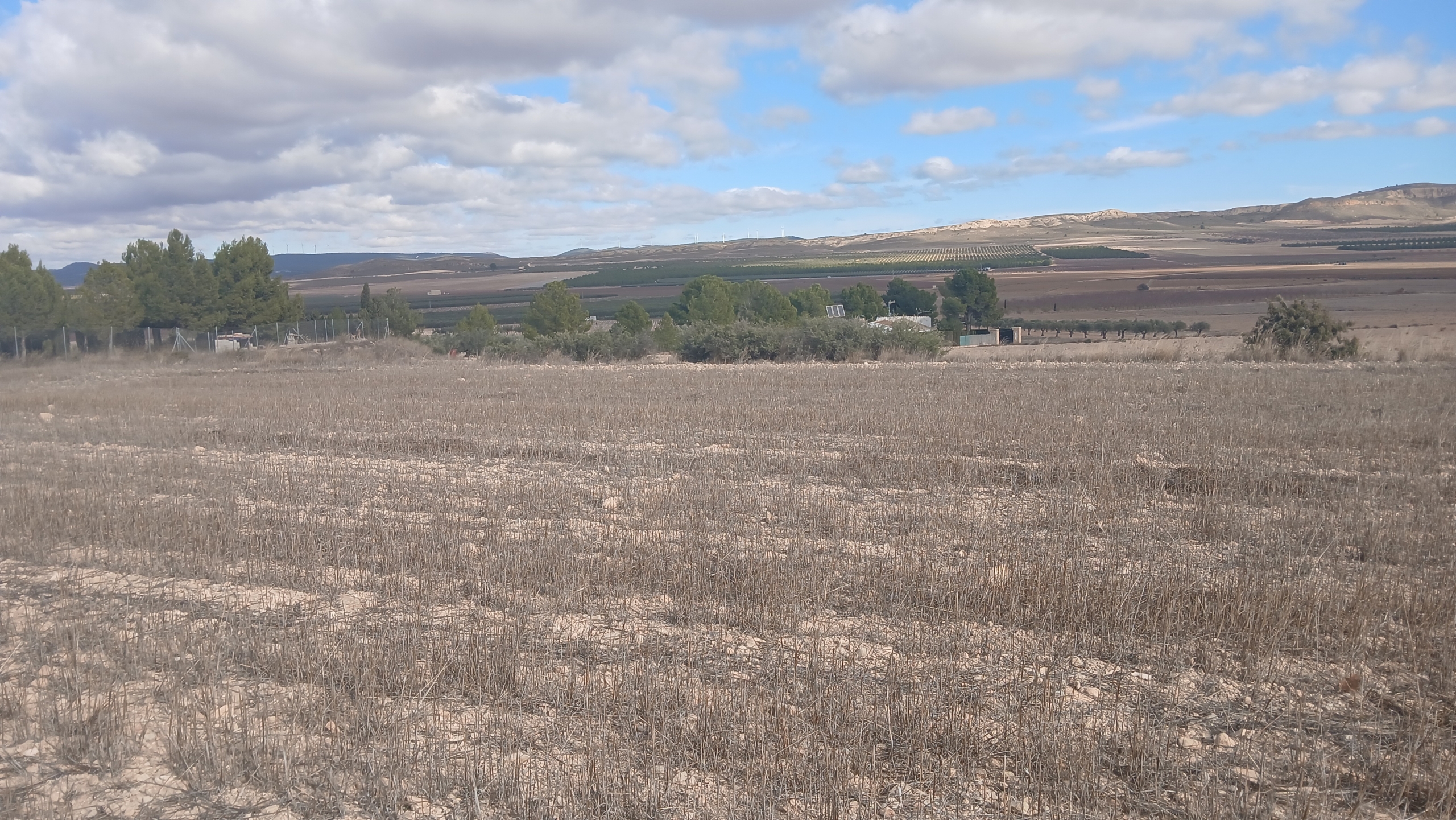 Unieke Investeringskans: Gigantisch Bouwperceel te Koop in Yecla (Murcia)