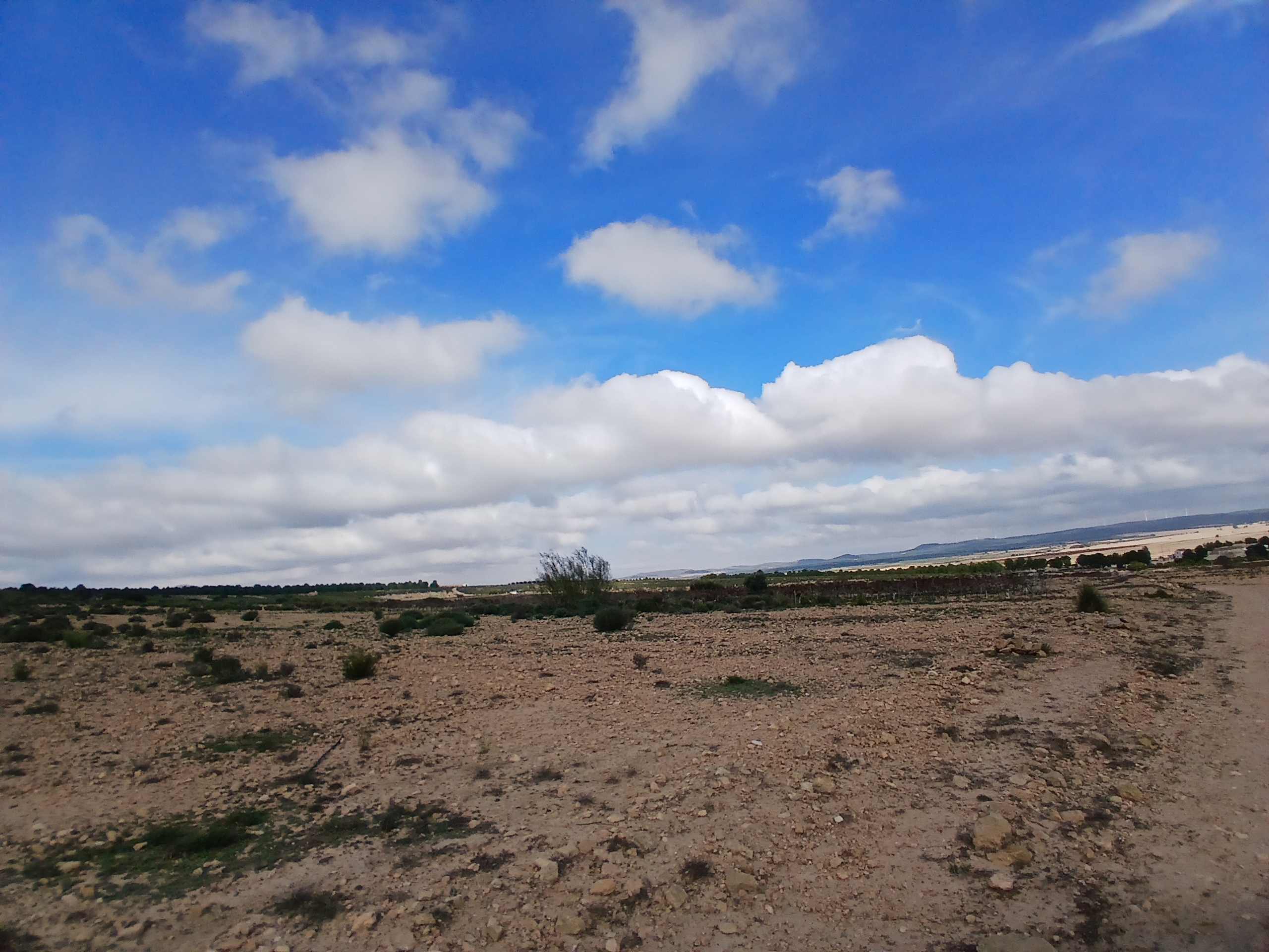 Exclusieve Investeringskans: 60 Hectare Geïrrigeerd Landgoed in Yecla (Murcia)
