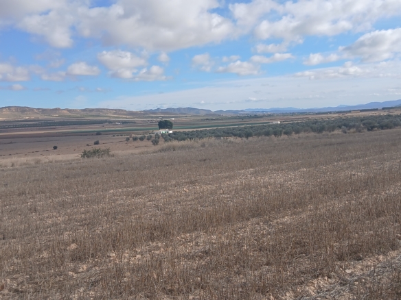 Unieke Investeringskans: Gigantisch Bouwperceel te Koop in Yecla (Murcia)