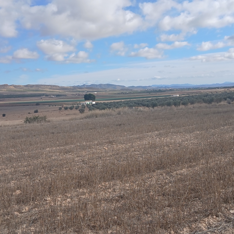 Unieke Investeringskans: Gigantisch Bouwperceel te Koop in Yecla (Murcia)