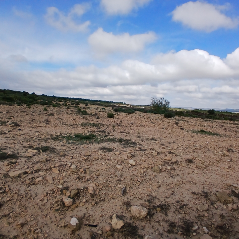 Exclusieve Investeringskans: 60 Hectare Geïrrigeerd Landgoed in Yecla (Murcia)