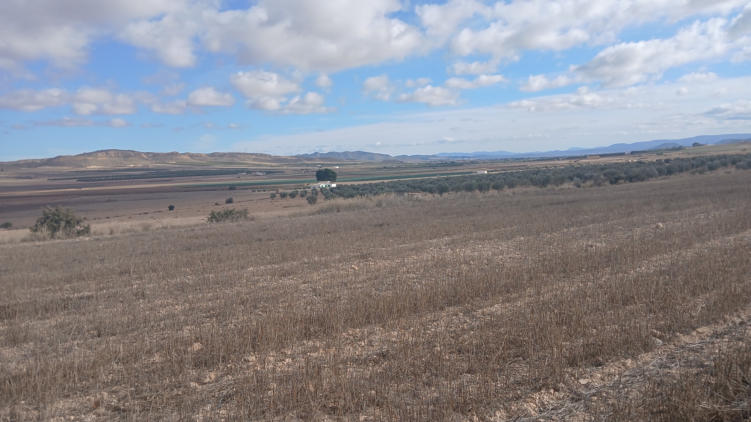 Unieke Investeringskans: Gigantisch Bouwperceel te Koop in Yecla (Murcia)