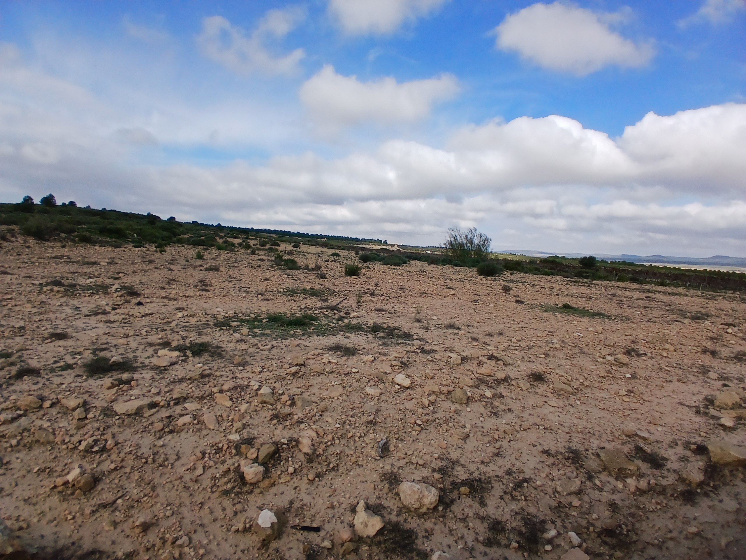 Exclusieve Investeringskans: 60 Hectare Geïrrigeerd Landgoed in Yecla (Murcia)