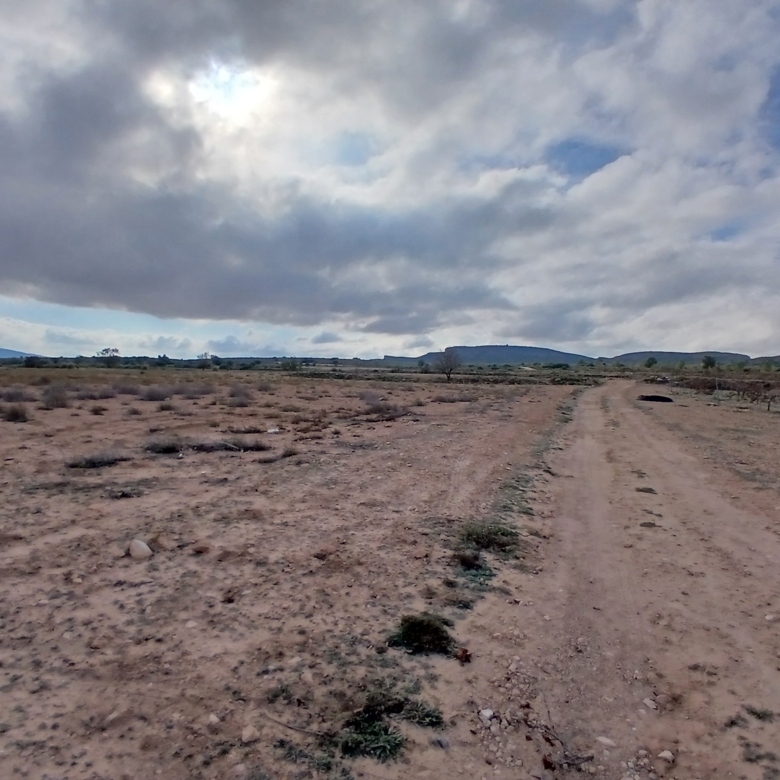 Exclusieve Investeringskans: 60 Hectare Geïrrigeerd Landgoed in Yecla (Murcia)