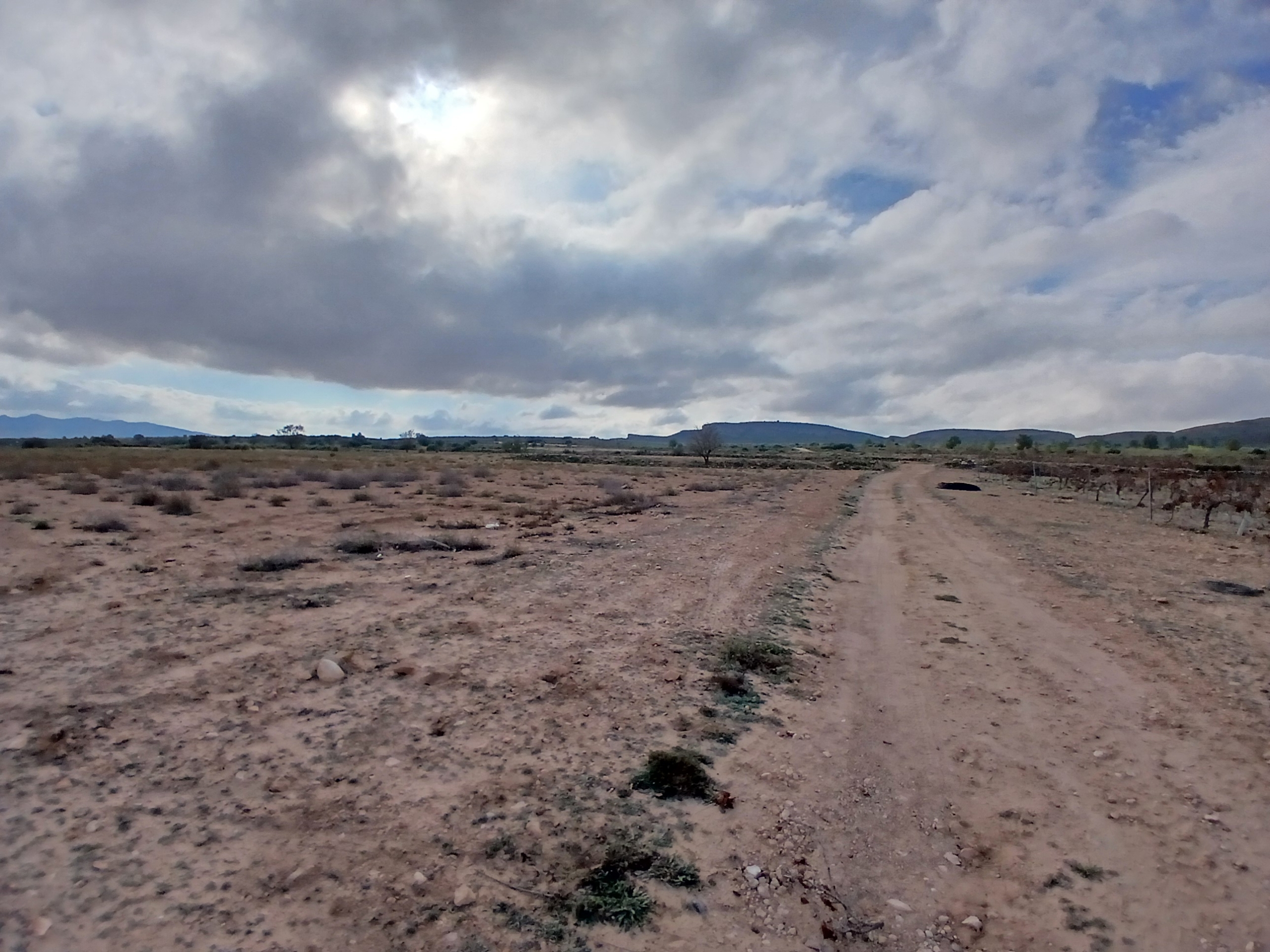 Exclusieve Investeringskans: 60 Hectare Geïrrigeerd Landgoed in Yecla (Murcia)