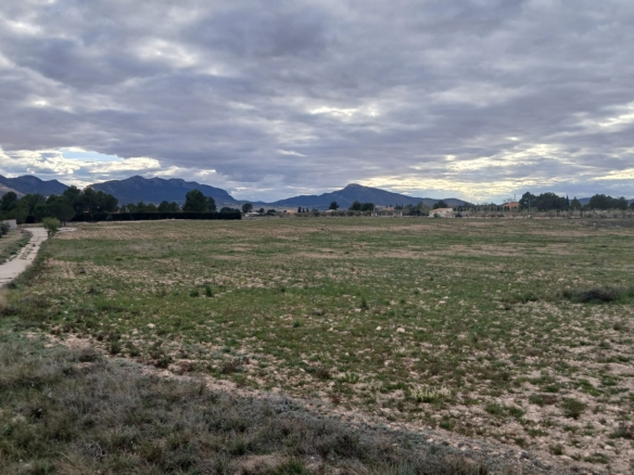 Prachtig Bouwperceel van 20.000 m² in Yecla – Rust, Ruimte en Panoramisch Uitzicht