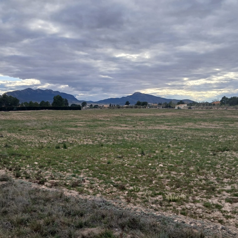 Prachtig Bouwperceel van 20.000 m² in Yecla – Rust, Ruimte en Panoramisch Uitzicht