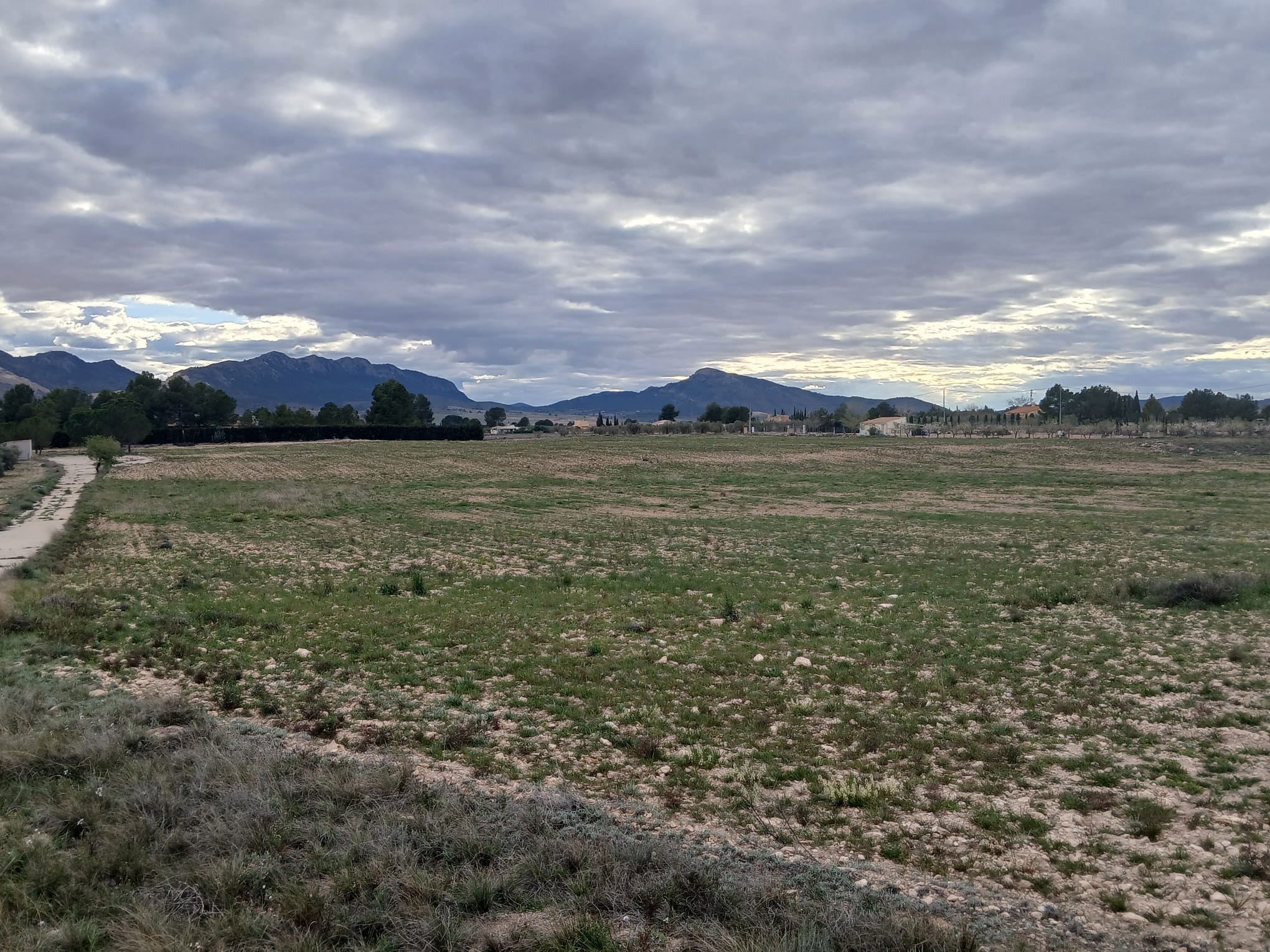 Prachtig Bouwperceel van 20.000 m² in Yecla – Rust, Ruimte en Panoramisch Uitzicht