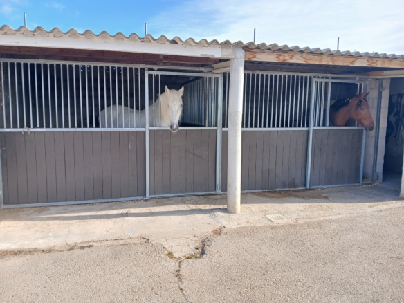 Karakteristiek Paardenobject met REGA-licentie in Monóvar