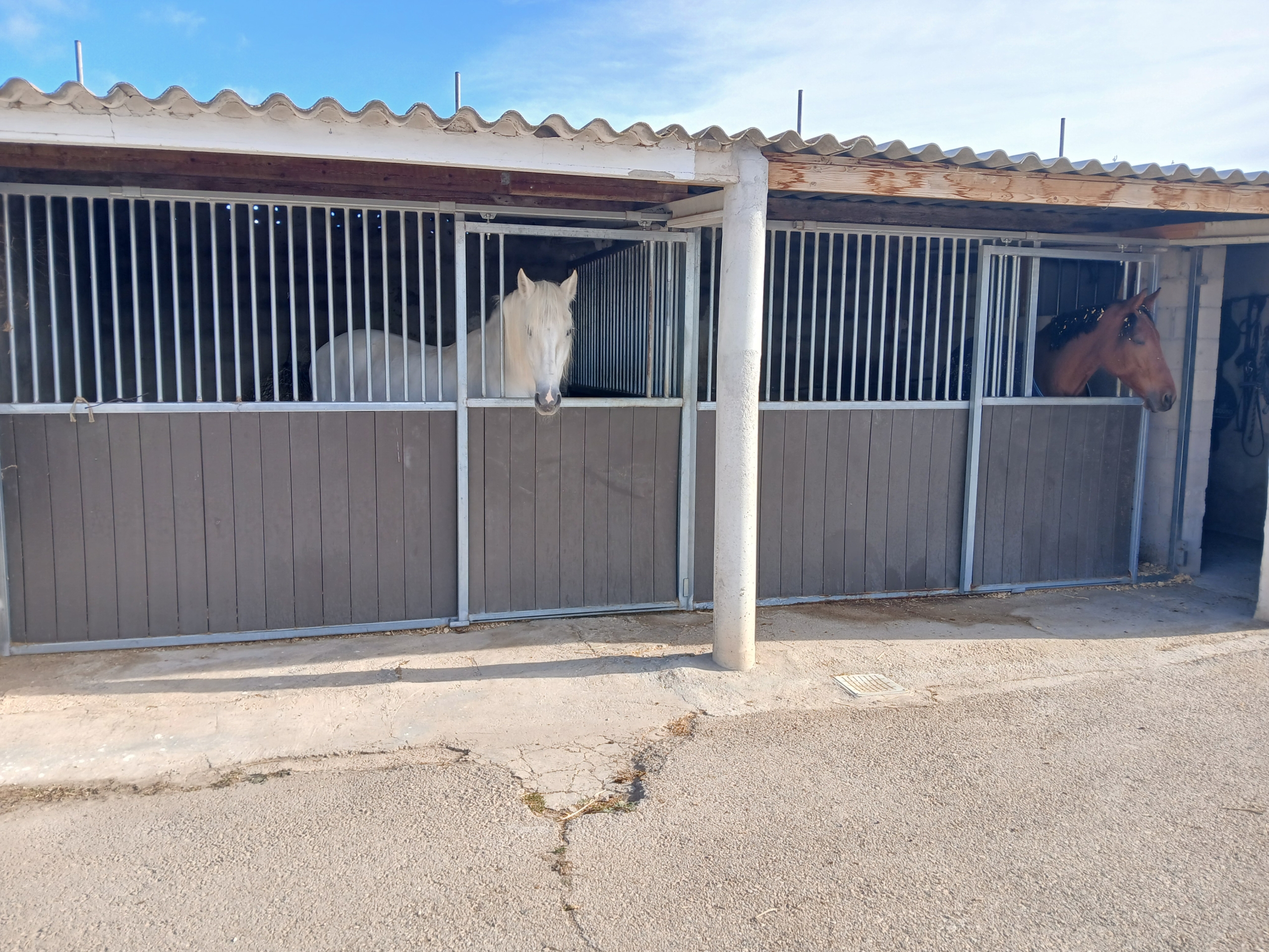 Karakteristiek Paardenobject met REGA-licentie in Monóvar