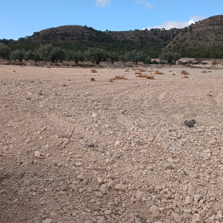 Unieke Investeringskans: Gigantisch Bouwperceel te Koop in Yecla (Murcia)