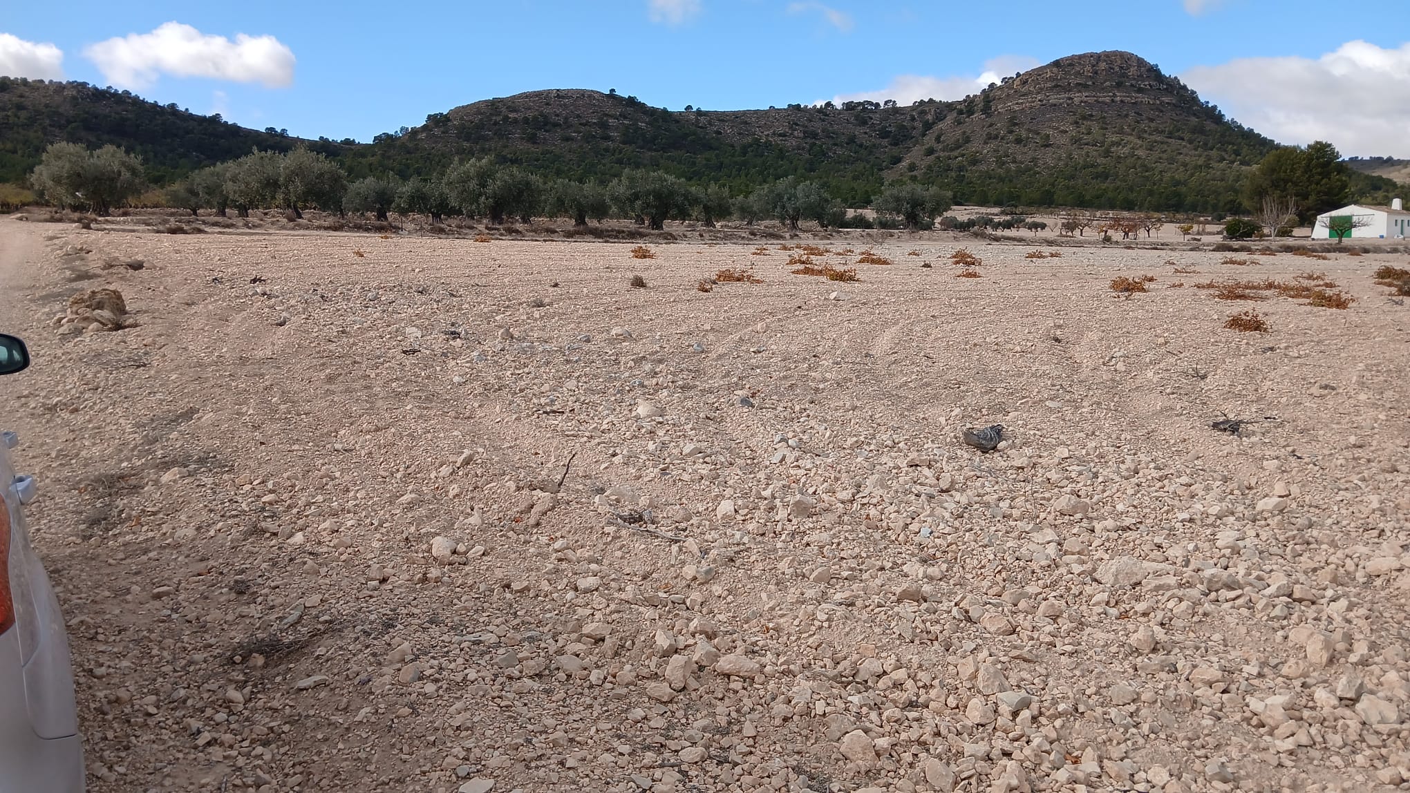 Unieke Investeringskans: Gigantisch Bouwperceel te Koop in Yecla (Murcia)