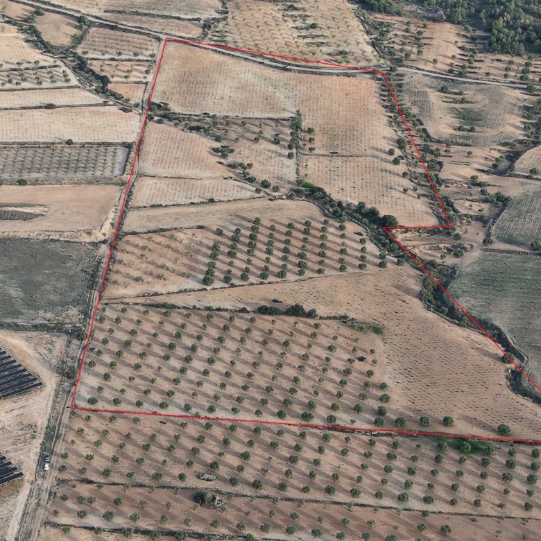 Groot Bouwperceel met Olijfgaard (15 ha) te Koop in Jumilla, Murcia