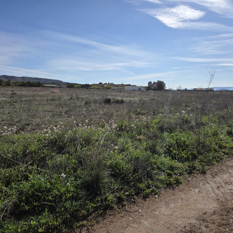 Prachtig vlak bouwperceel met panoramisch uitzicht in Yecla (Murcia)
