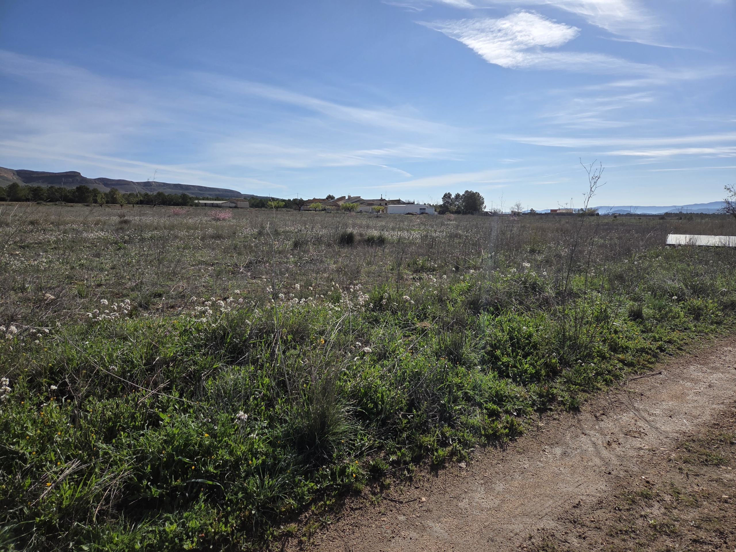 Prachtig vlak bouwperceel met panoramisch uitzicht in Yecla (Murcia)