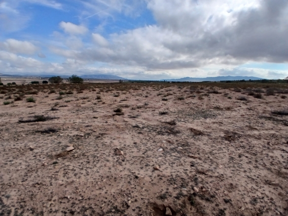 Exclusieve Investeringskans: 60 Hectare Geïrrigeerd Landgoed in Yecla (Murcia)