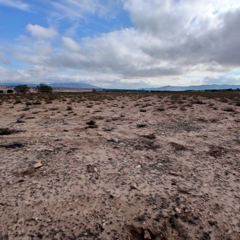 Exclusieve Investeringskans: 60 Hectare Geïrrigeerd Landgoed in Yecla (Murcia)