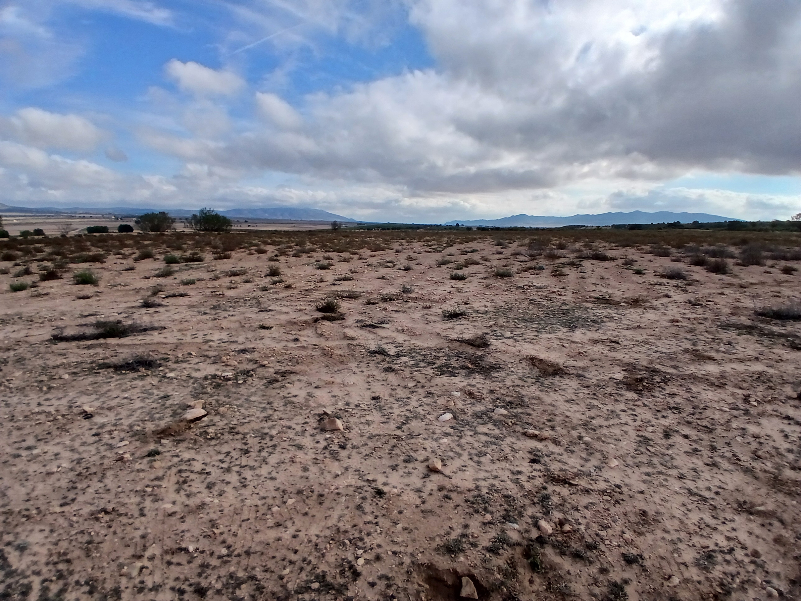 Exclusieve Investeringskans: 60 Hectare Geïrrigeerd Landgoed in Yecla (Murcia)