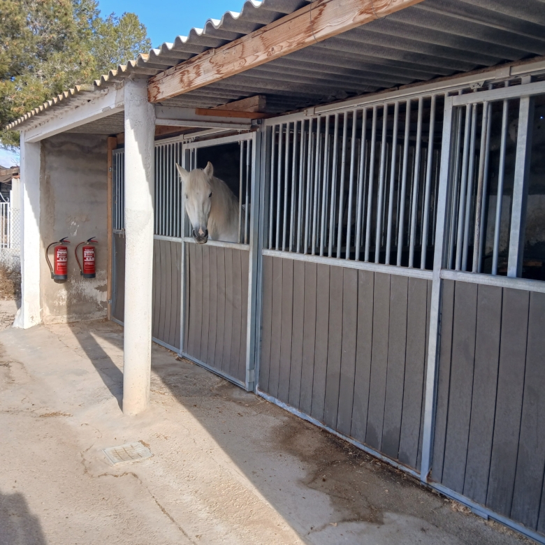Karakteristiek Paardenobject met REGA-licentie in Monóvar