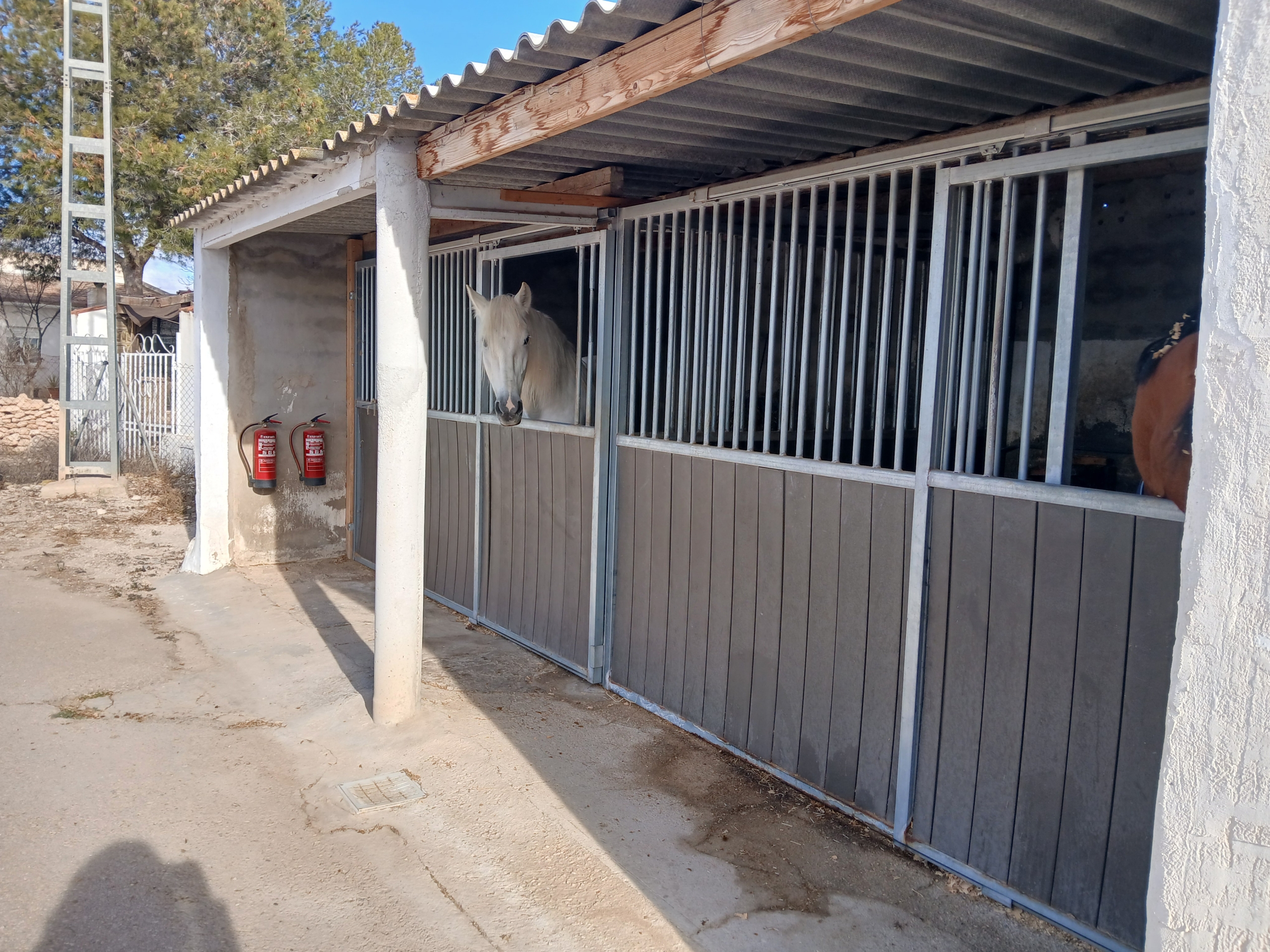 Karakteristiek Paardenobject met REGA-licentie in Monóvar
