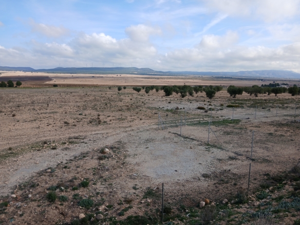 Exclusieve Investeringskans: 60 Hectare Geïrrigeerd Landgoed in Yecla (Murcia)