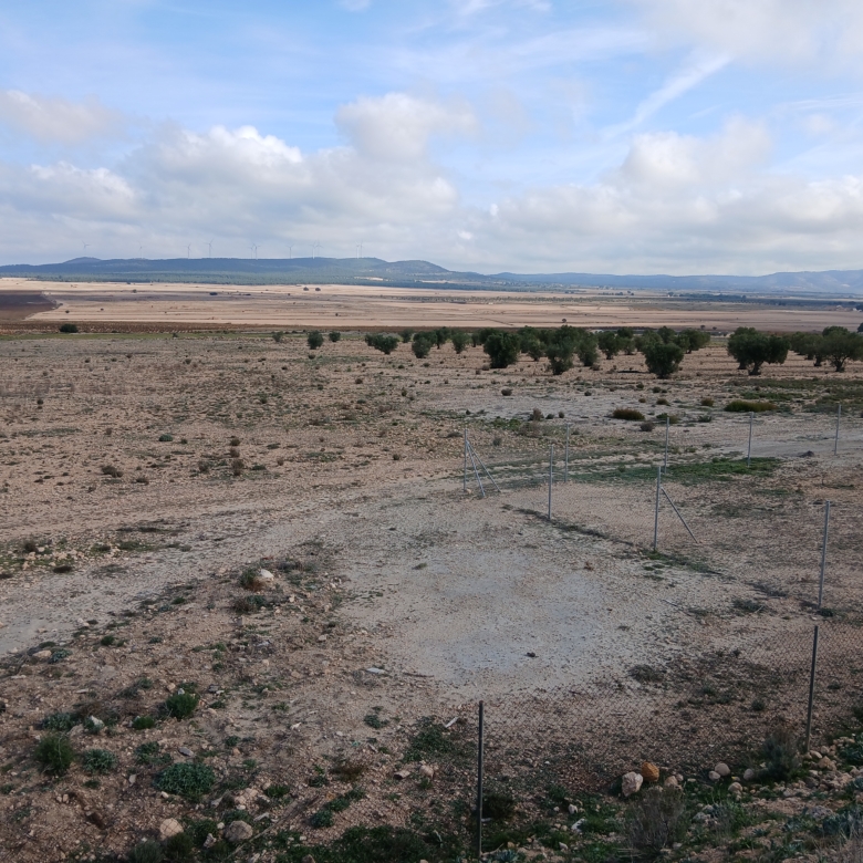 Exclusieve Investeringskans: 60 Hectare Geïrrigeerd Landgoed in Yecla (Murcia)