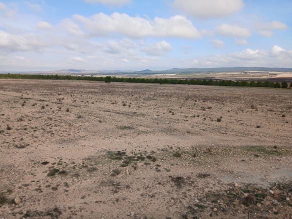 Exclusieve Investeringskans: 60 Hectare Geïrrigeerd Landgoed in Yecla (Murcia)
