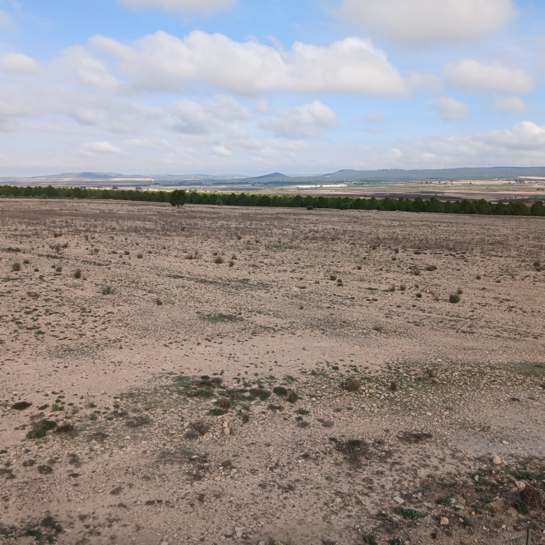 Exclusieve Investeringskans: 60 Hectare Geïrrigeerd Landgoed in Yecla (Murcia)