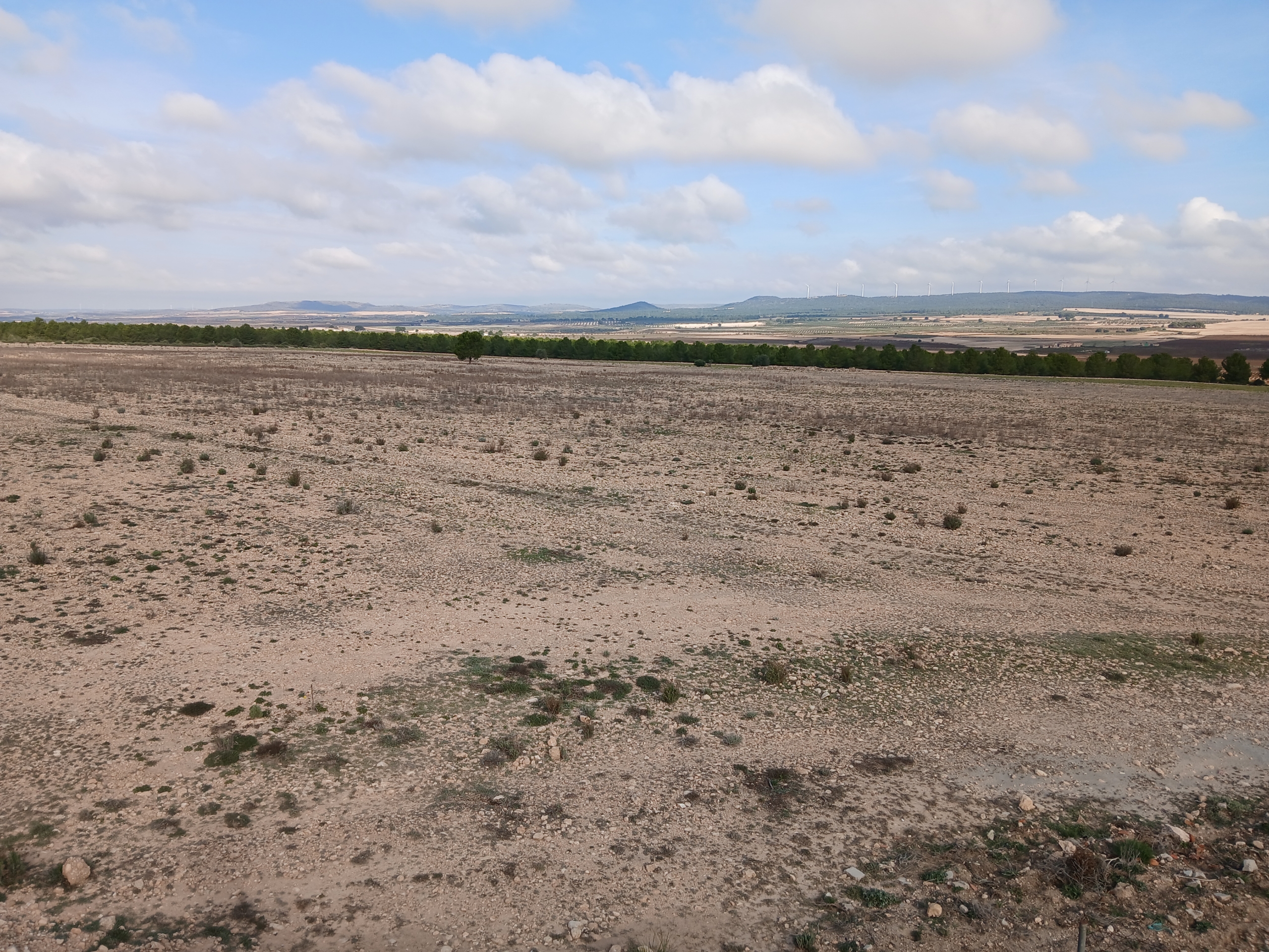 Exclusieve Investeringskans: 60 Hectare Geïrrigeerd Landgoed in Yecla (Murcia)