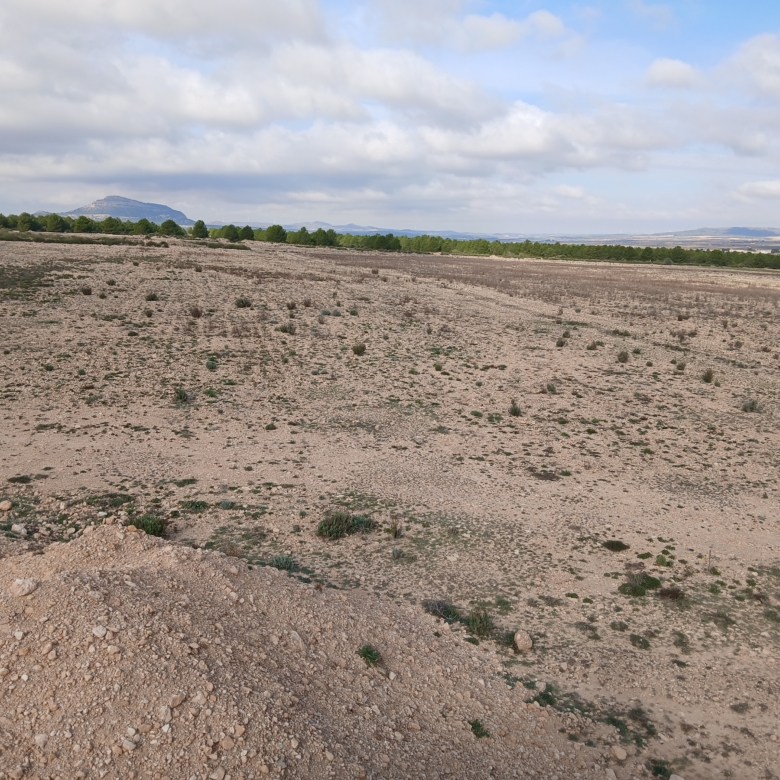 Exclusieve Investeringskans: 60 Hectare Geïrrigeerd Landgoed in Yecla (Murcia)