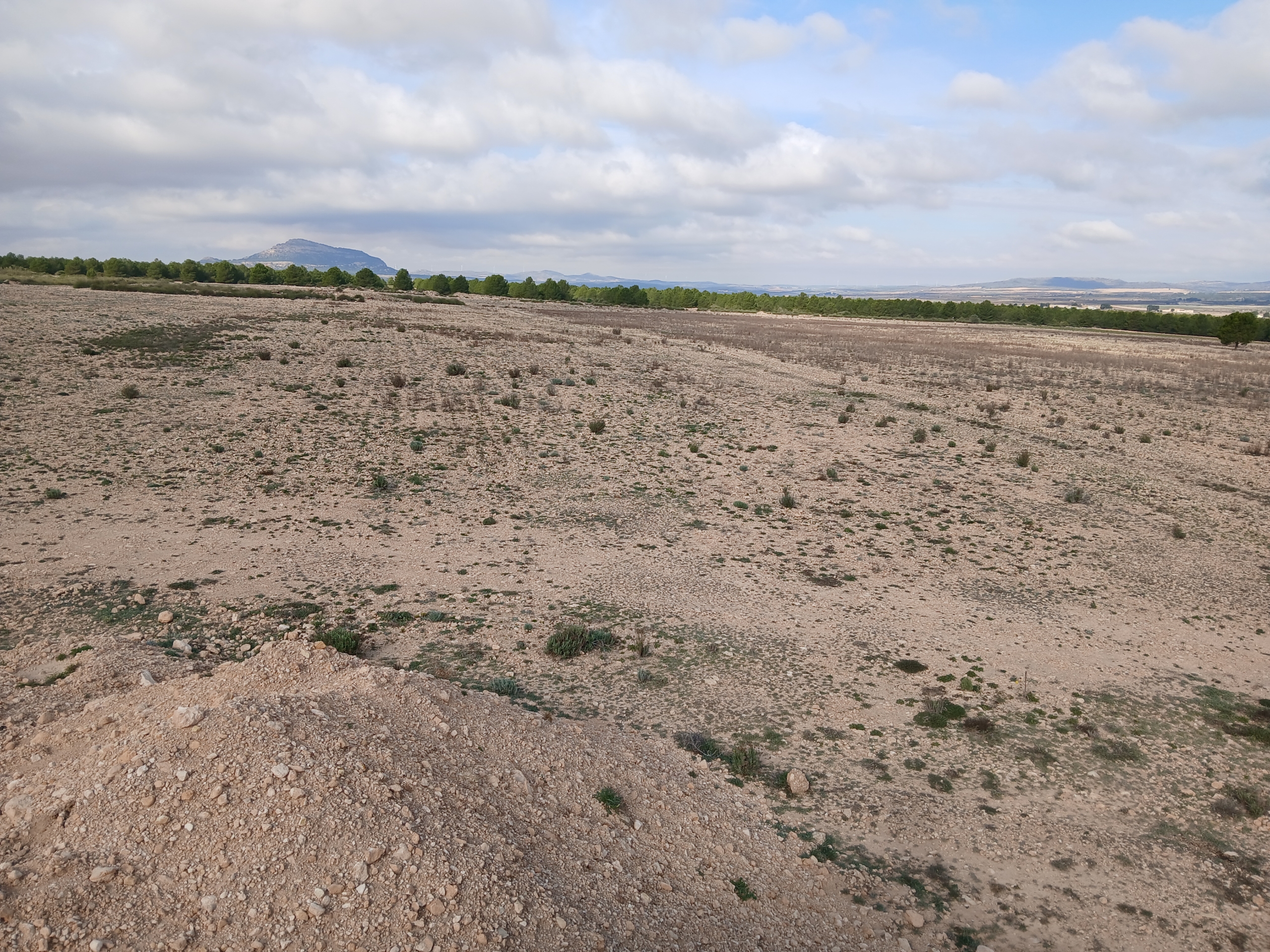 Exclusieve Investeringskans: 60 Hectare Geïrrigeerd Landgoed in Yecla (Murcia)