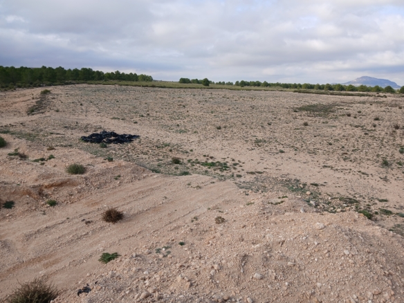 Exclusieve Investeringskans: 60 Hectare Geïrrigeerd Landgoed in Yecla (Murcia)