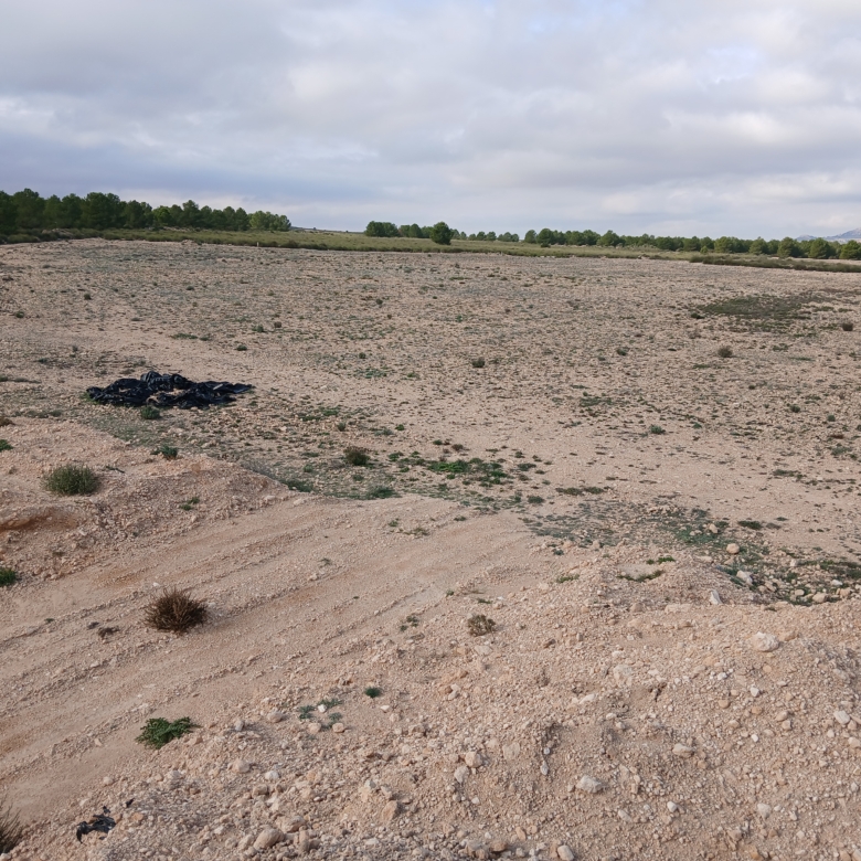 Exclusieve Investeringskans: 60 Hectare Geïrrigeerd Landgoed in Yecla (Murcia)