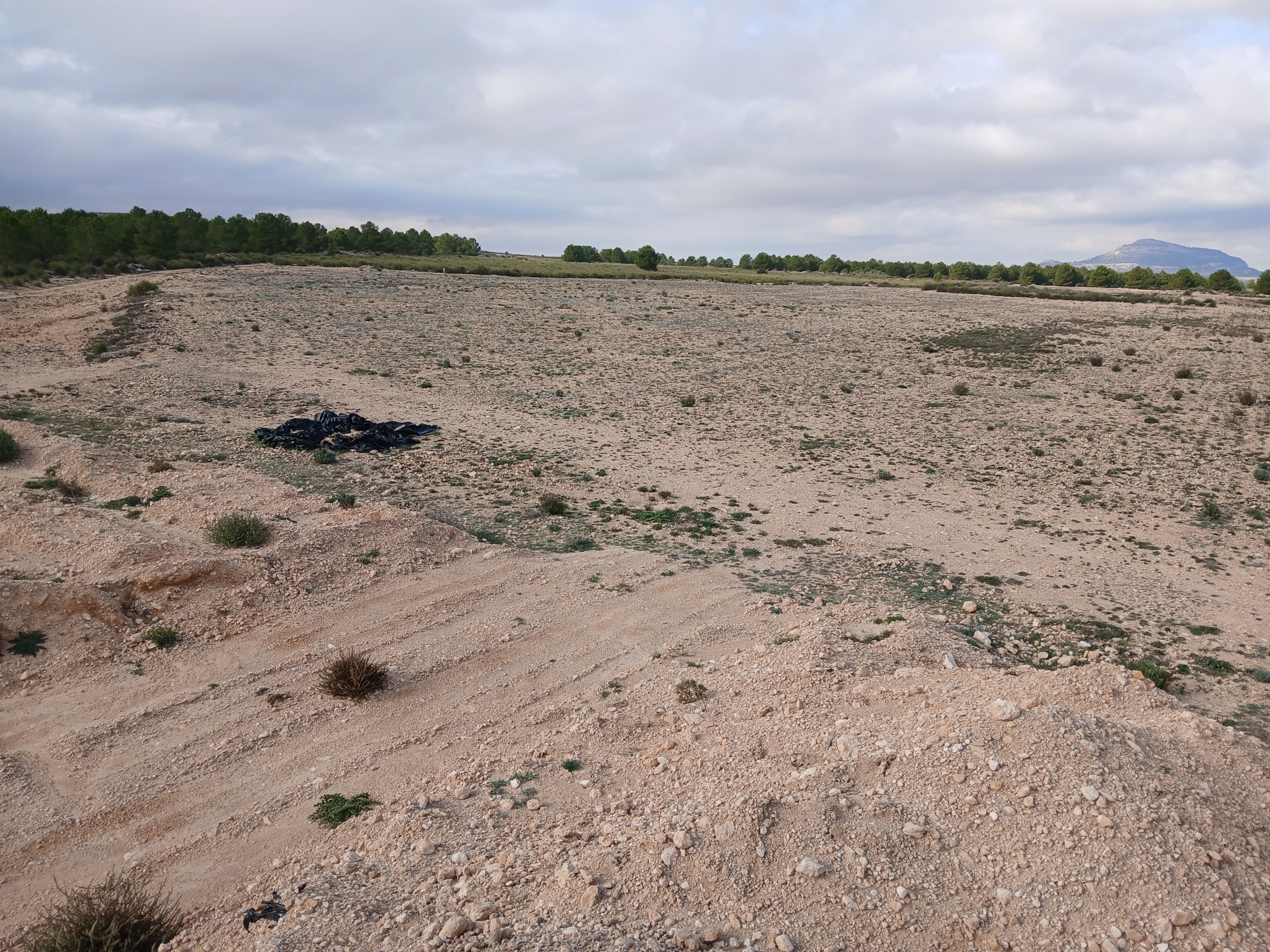 Exclusieve Investeringskans: 60 Hectare Geïrrigeerd Landgoed in Yecla (Murcia)