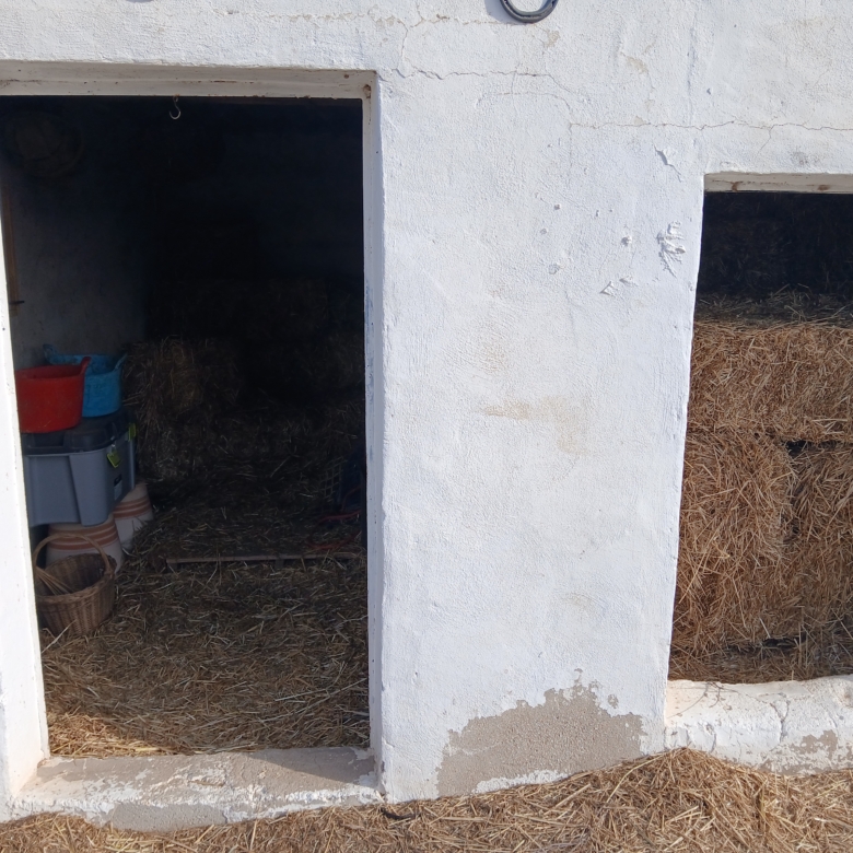 Karakteristiek Paardenobject met REGA-licentie in Monóvar