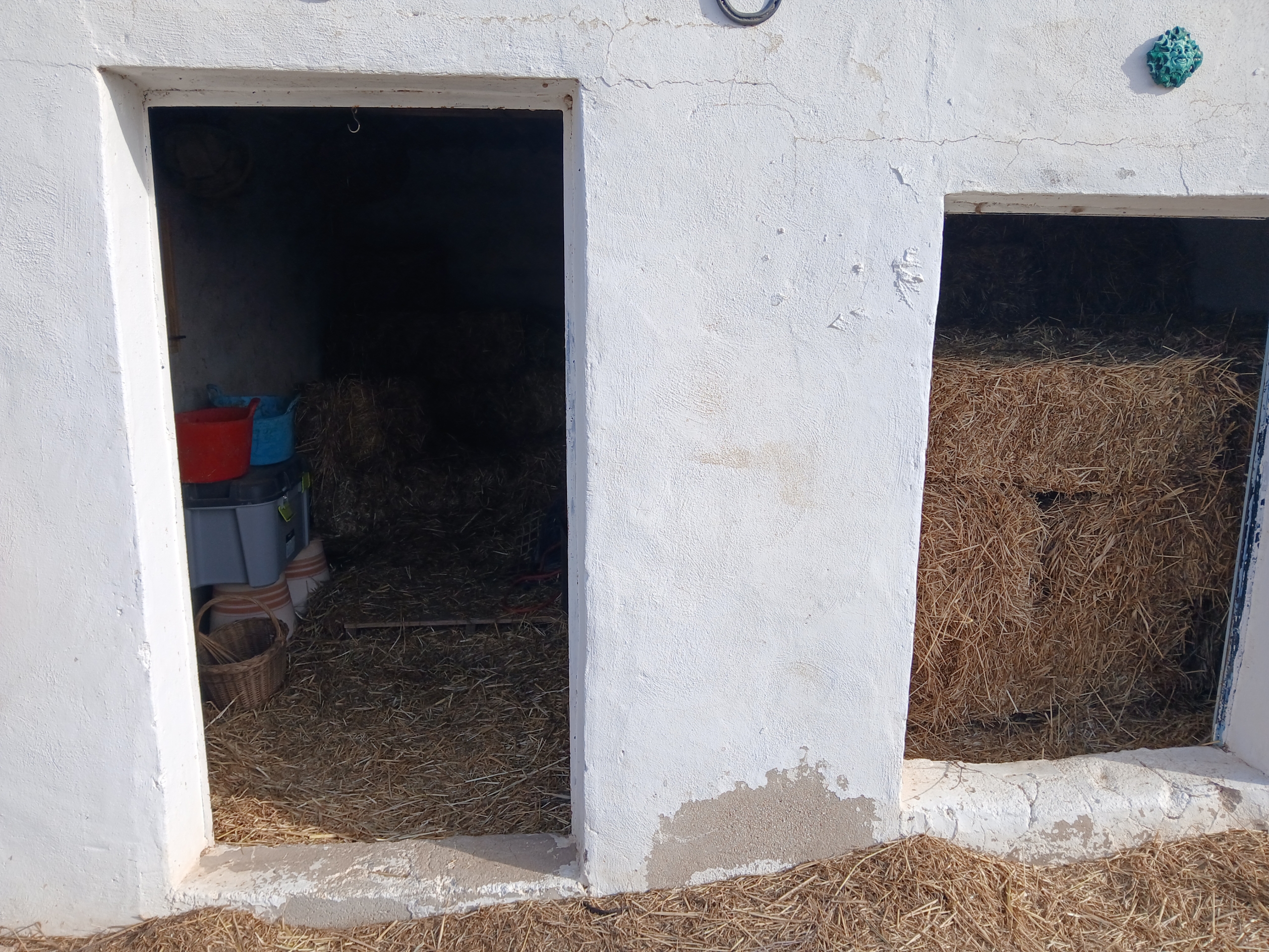 Karakteristiek Paardenobject met REGA-licentie in Monóvar