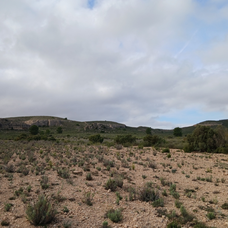 Exclusieve Investeringskans: 60 Hectare Geïrrigeerd Landgoed in Yecla (Murcia)