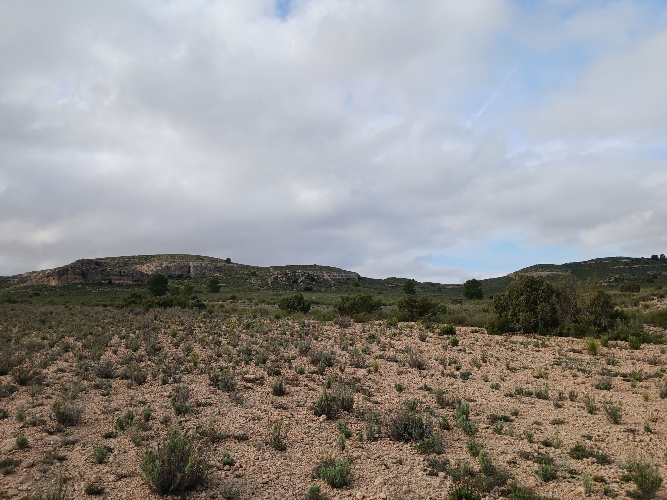 Exclusieve Investeringskans: 60 Hectare Geïrrigeerd Landgoed in Yecla (Murcia)