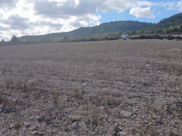 Unieke Investeringskans: Gigantisch Bouwperceel te Koop in Yecla (Murcia)