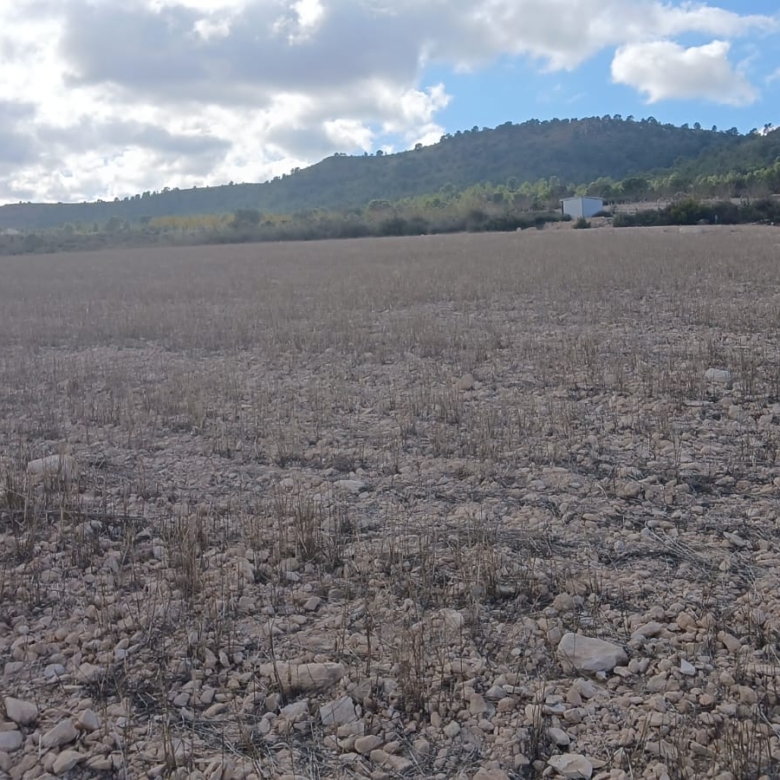 Unieke Investeringskans: Gigantisch Bouwperceel te Koop in Yecla (Murcia)