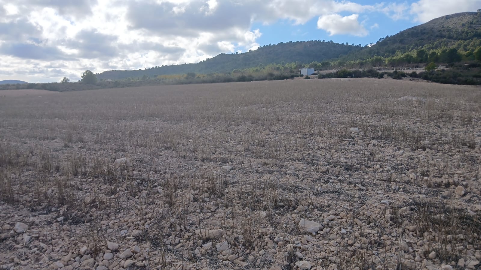 Unieke Investeringskans: Gigantisch Bouwperceel te Koop in Yecla (Murcia)