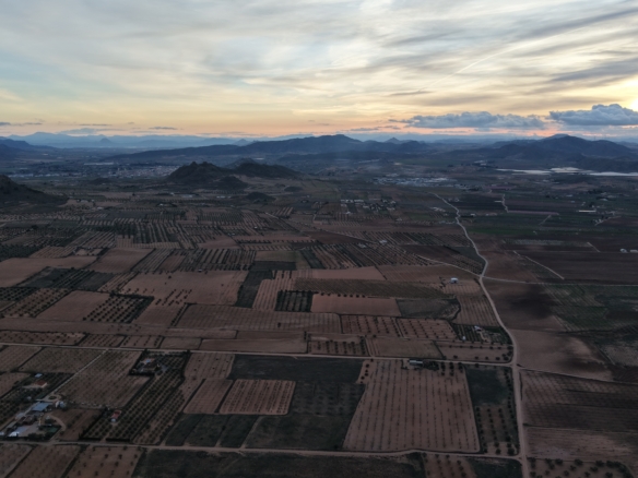 Groot Bouwperceel met Olijfgaard (15 ha) te Koop in Jumilla, Murcia