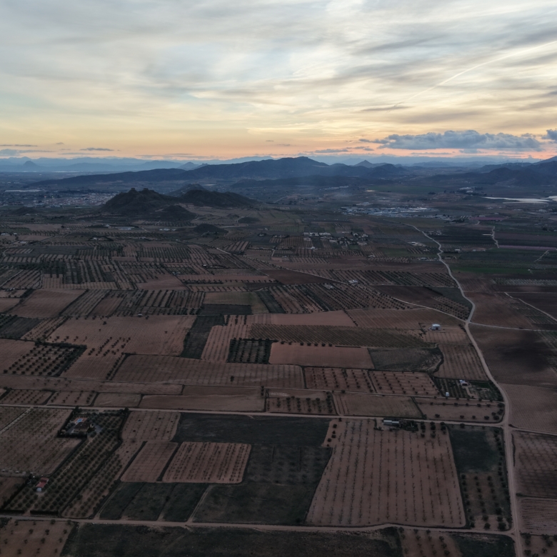 Groot Bouwperceel met Olijfgaard (15 ha) te Koop in Jumilla, Murcia