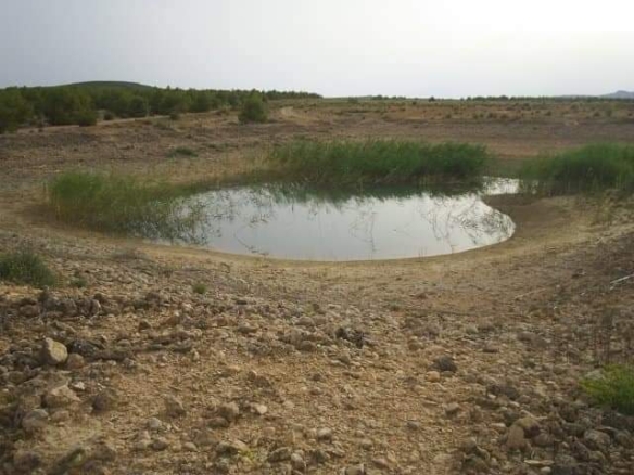 Exclusieve Investeringskans: 60 Hectare Geïrrigeerd Landgoed in Yecla (Murcia)