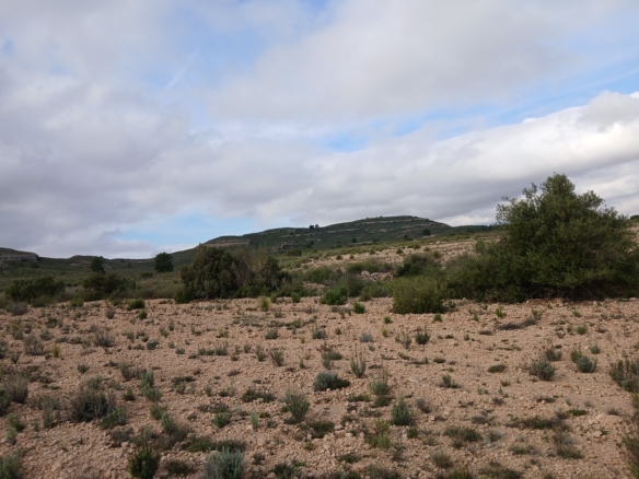 Exclusieve Investeringskans: 60 Hectare Geïrrigeerd Landgoed in Yecla (Murcia)