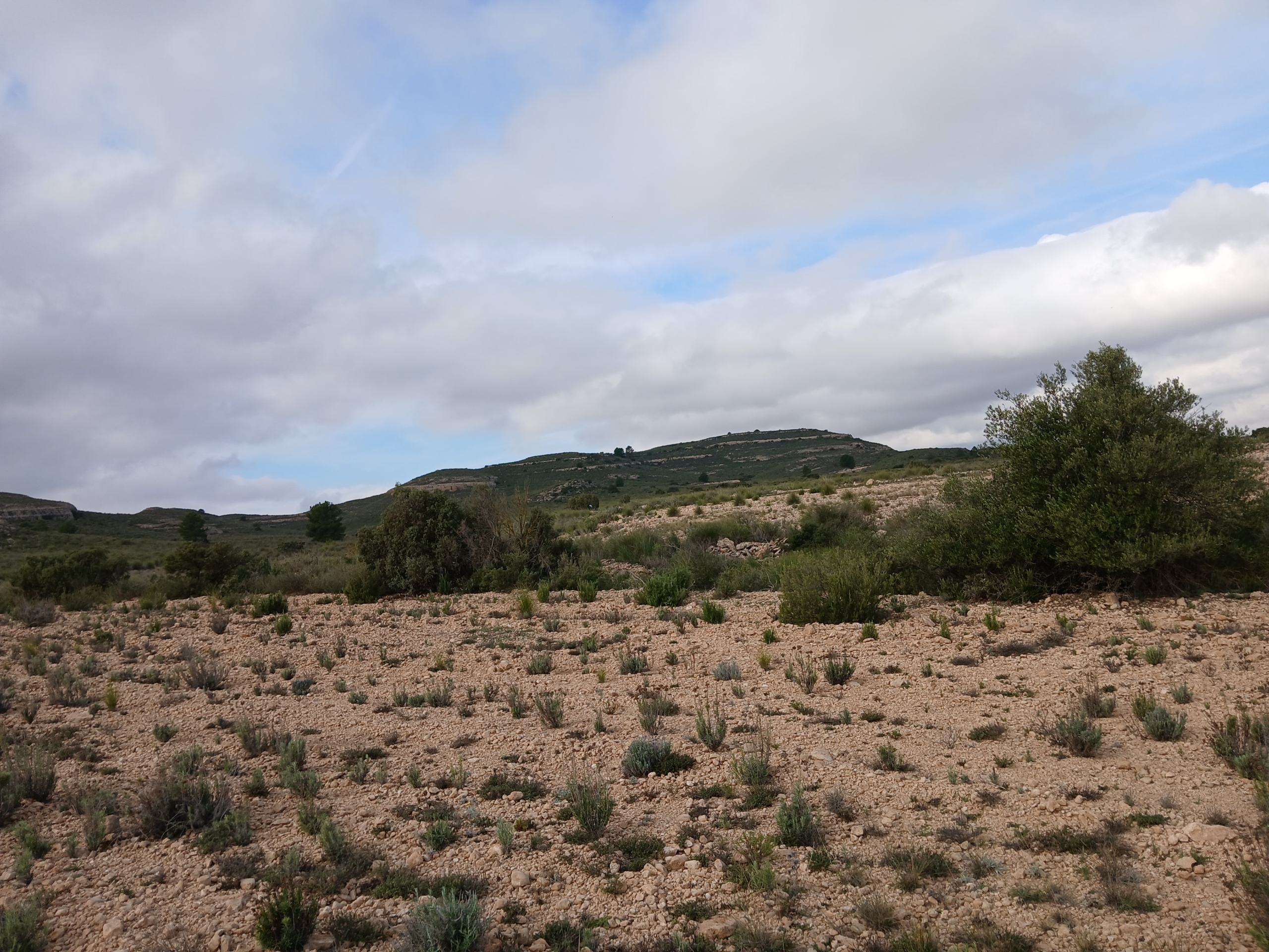 Exclusieve Investeringskans: 60 Hectare Geïrrigeerd Landgoed in Yecla (Murcia)