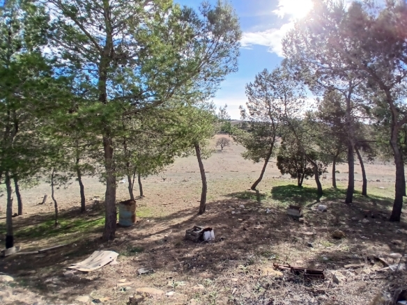 Exclusieve Off-Grid Finca met Gigantisch Perceel & Zwembad in Caudete