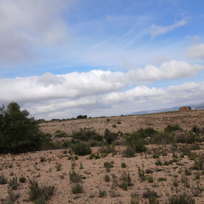 Exclusieve Investeringskans: 60 Hectare Geïrrigeerd Landgoed in Yecla (Murcia)