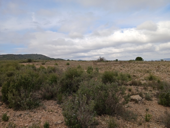 Exclusieve Investeringskans: 60 Hectare Geïrrigeerd Landgoed in Yecla (Murcia)
