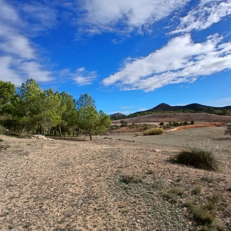 Exclusieve Off-Grid Finca met Gigantisch Perceel & Zwembad in Caudete